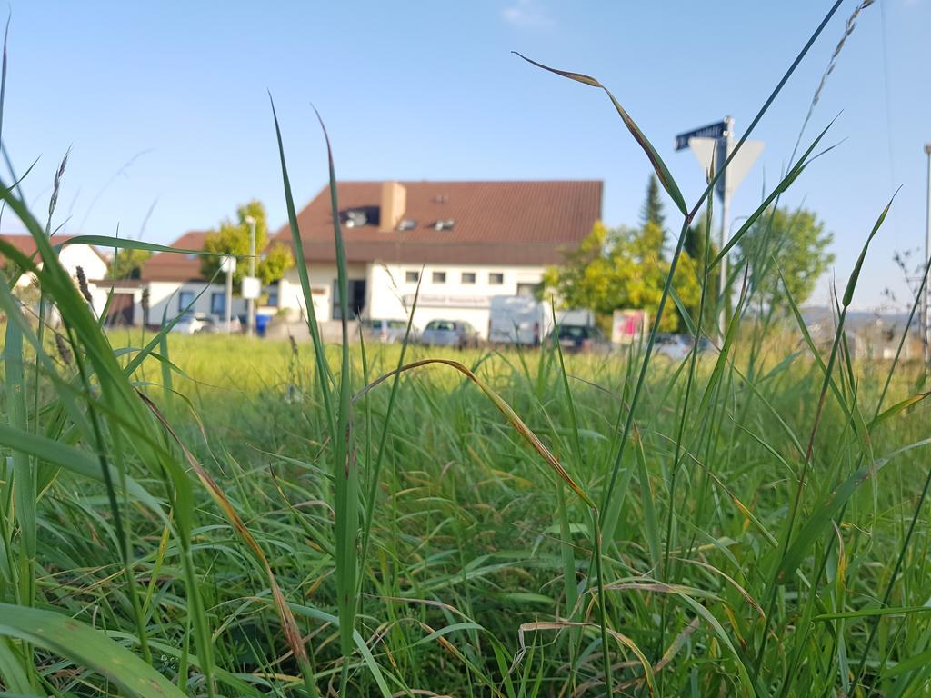 Hotel Rosenbach Reutlingen Luaran gambar